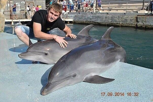 ���� 8588518 ������� ����, 56 ���, ���� ���������� � ������