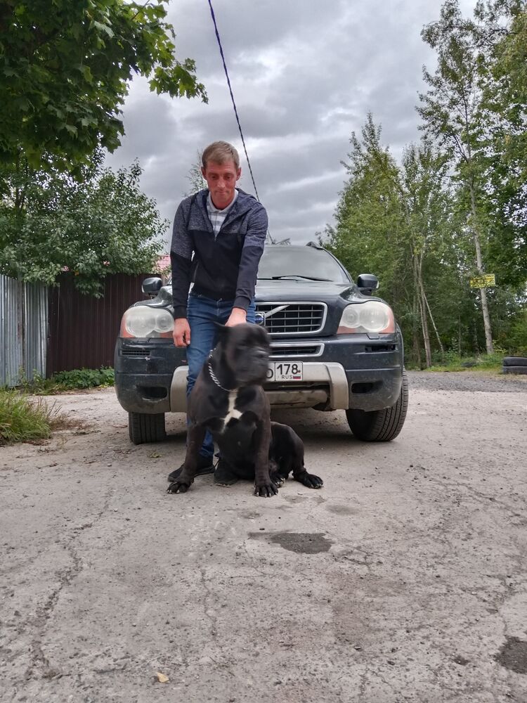 ���������� �����-���������, ���� ������� �����, 35 ���, ������������ ��� ������, ����� � ���������