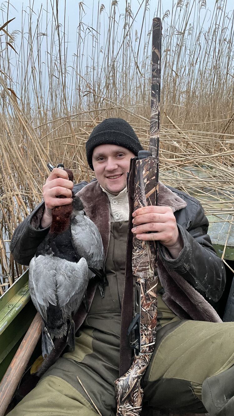 ���� 27467668 ������� ����, 30 ���, ���� ���������� � �����������