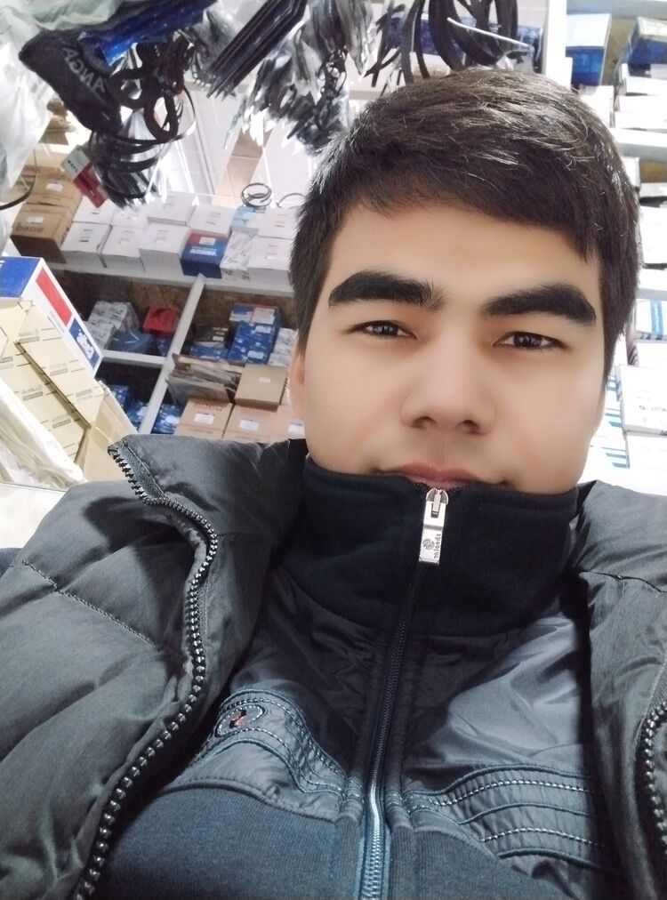 ���� 31383708 ����� Dilovar, 24 ����, ���� ���������� � �������