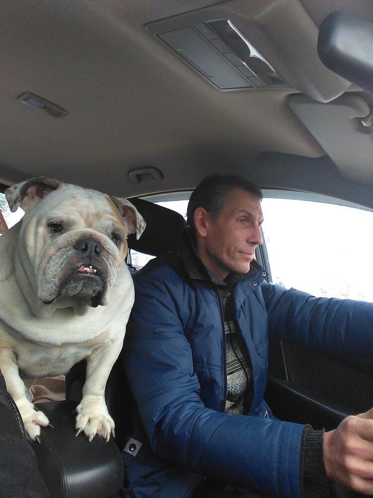 ���� 50849228 ������� ���������, 53 ����, ���� ���������� � ��������