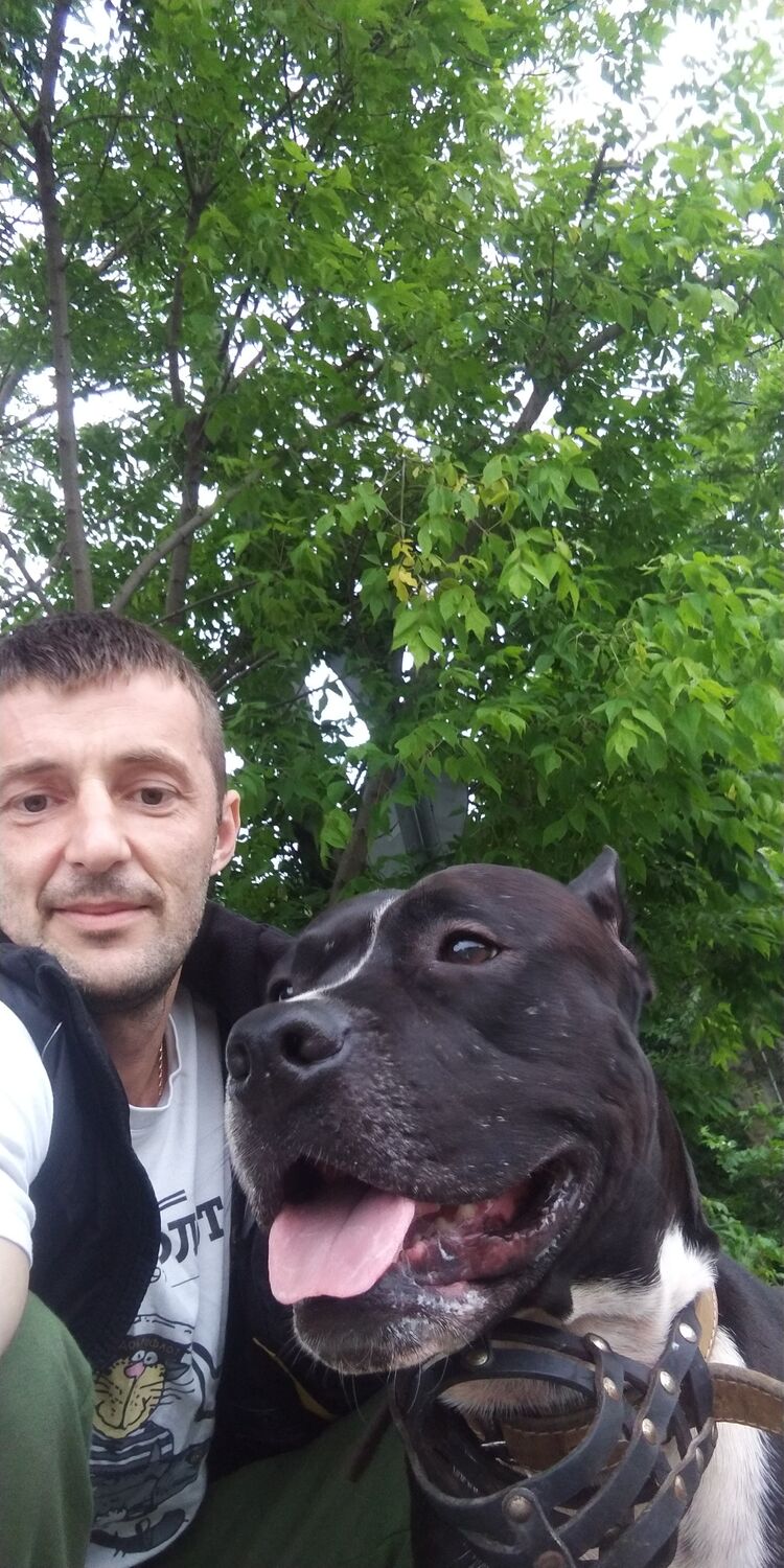 ���� 30170028 ������� �������, 44 ����, ���� ���������� � ������������