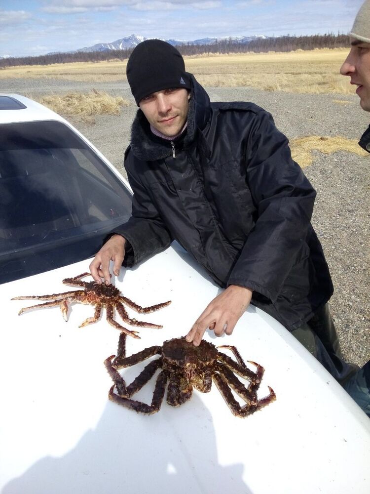 ���� 9490198 ������� ������, 34 ����, ���� ���������� � ��������