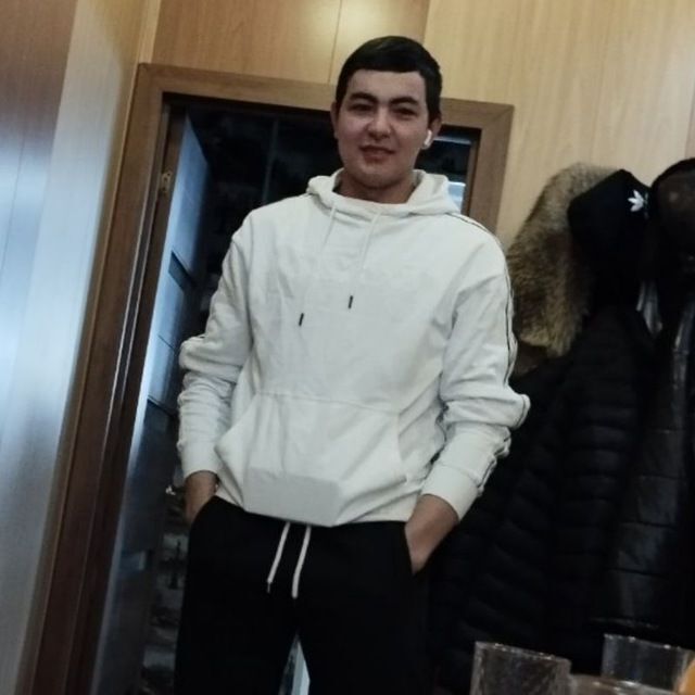  49956568  , 24 ,    