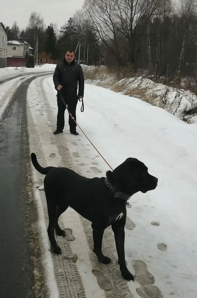 ���������� ������, ���� ������� ���������, 42 ����, ������������ ��� ����� � ���������, c�������� ���������