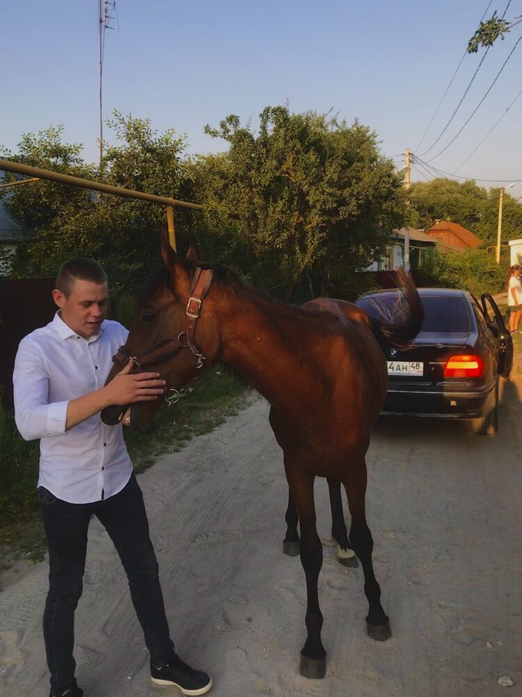 ���� 30837528 ������� ����, 28 ���, ���� ���������� � �����������