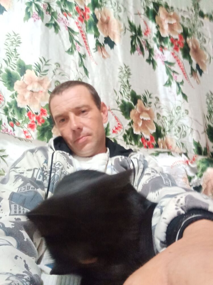  ,   , 43 ,     , c , 