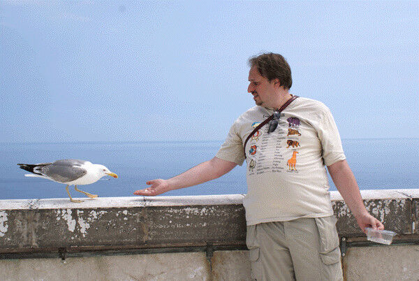 ���� 5890068 ������� Den, 51 ���, ���� ���������� � ������