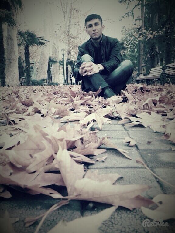 ���� 56106218 ������� �������, 33 ����, ���� ���������� � ������