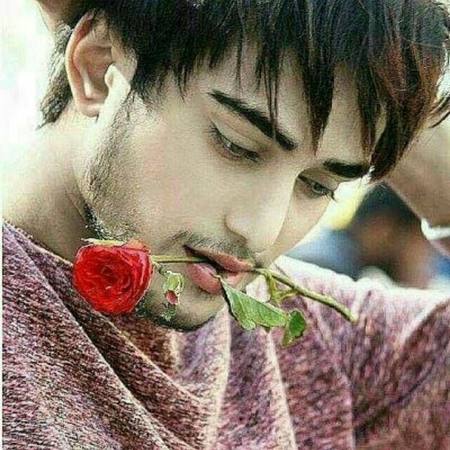  29423088  Zoxid, 31 ,    