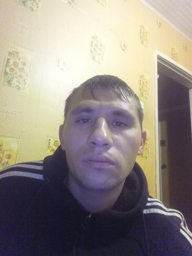  31327188  , 33 ,    