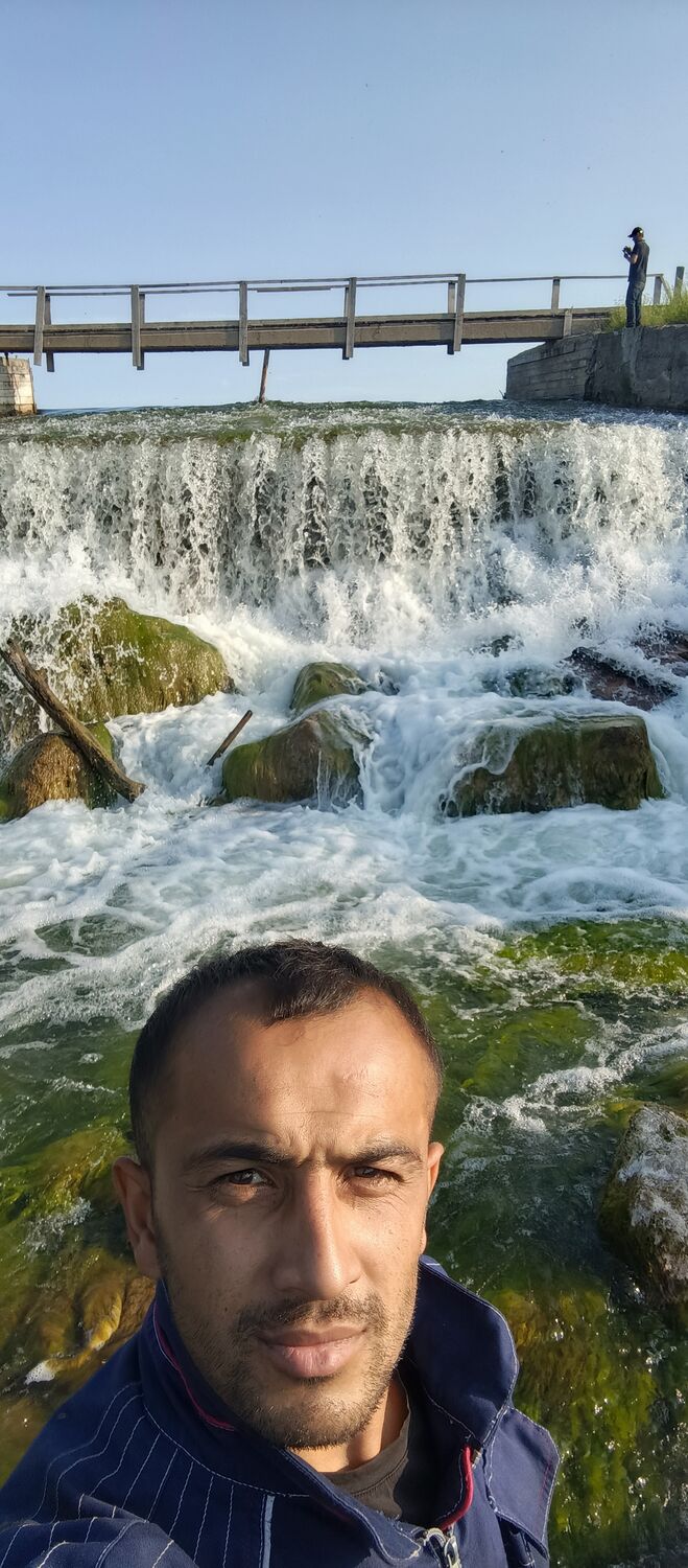 ���� 55316318 ������� ������, 31 ���, ���� ���������� � �������