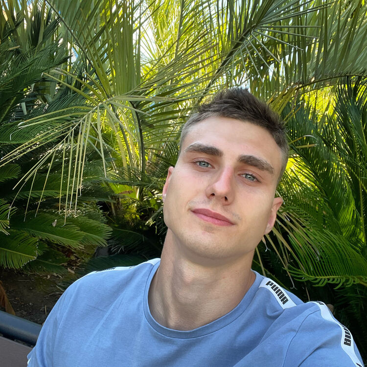 ���������� �����������, ���� ������� ���������, 26 ���, ������������ ��� ������, ����� � ���������