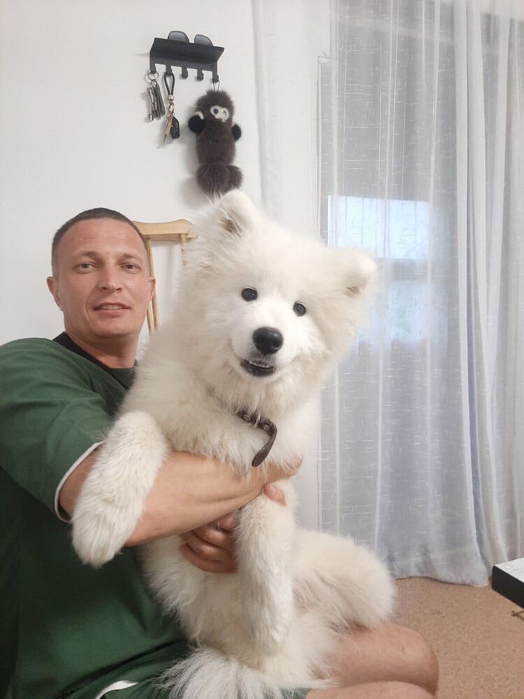 ���� 55379878 ������� ������, 33 ����, ���� ���������� � ������