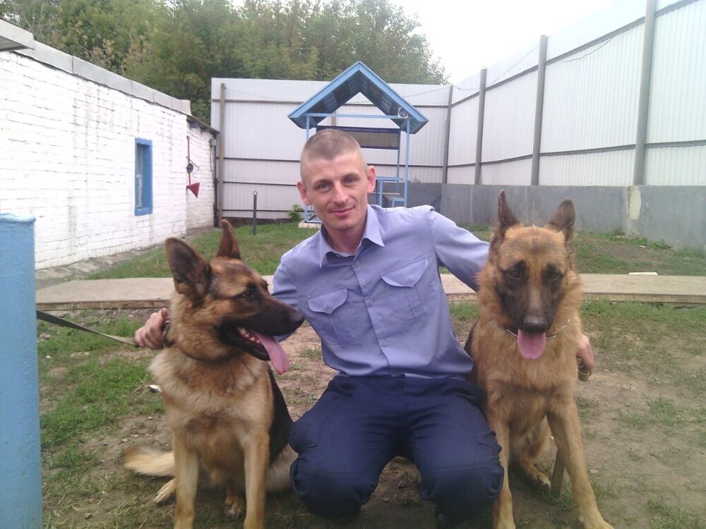 ���� 23963168 ������� ����, 43 ����, ���� ���������� � ������