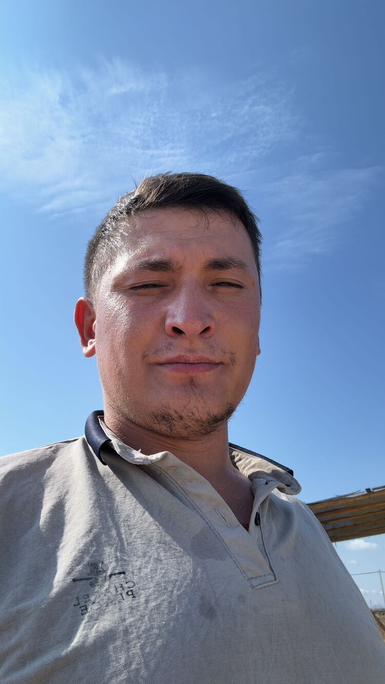  45547668  , 31 ,    