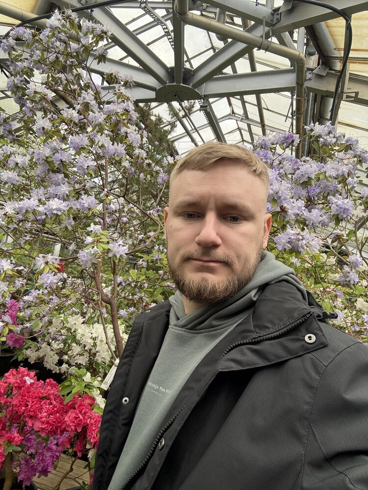 ���������� ������������, ���� ������� ������, 29 ���, ������������ ��� ������, ����� � ���������, c�������� ���������, ���������