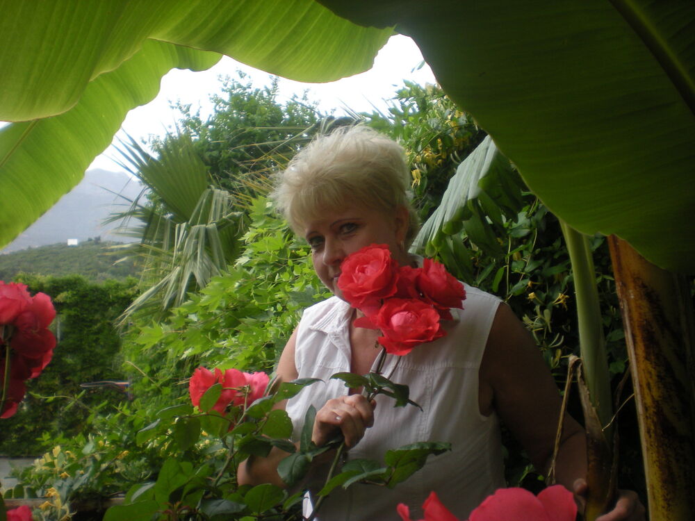 ���������� �����, ���� ������� ������, 70 ���, ������������ ��� ����� � ���������, c�������� ���������