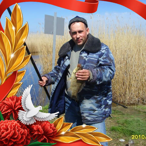 ���� 9538218 ������� �������, 53 ����, ���� ���������� � ����������