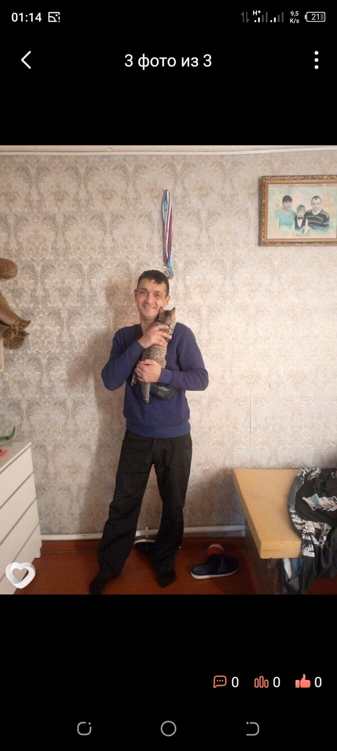  53803948  Aleksei, 41 ,    