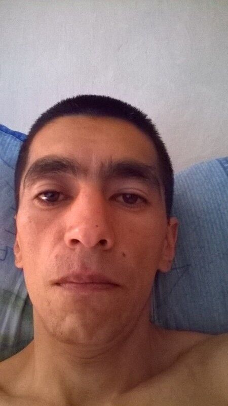 ,   Sfrddg, 41 ,   ,   , c , 