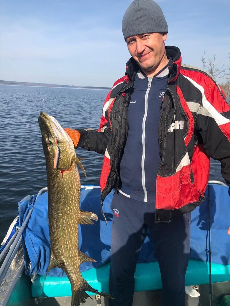 ���������� ������, ���� ������� ����, 47 ���, ������������ ��� ����� � ���������, c�������� ���������