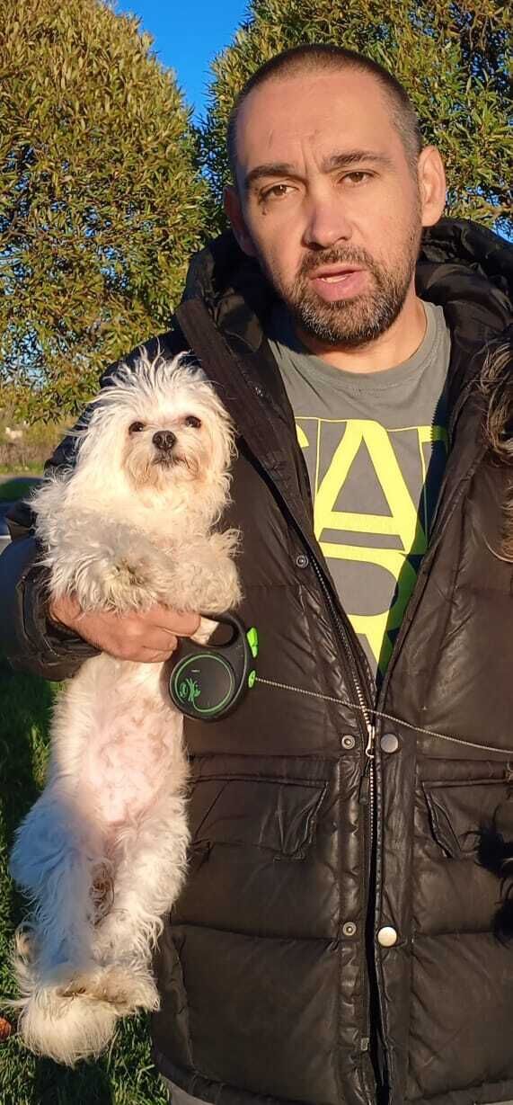 ���������� �����-���������, ���� ������� �������, 43 ����, ������������ ��� ������, ����� � ���������, c�������� ���������