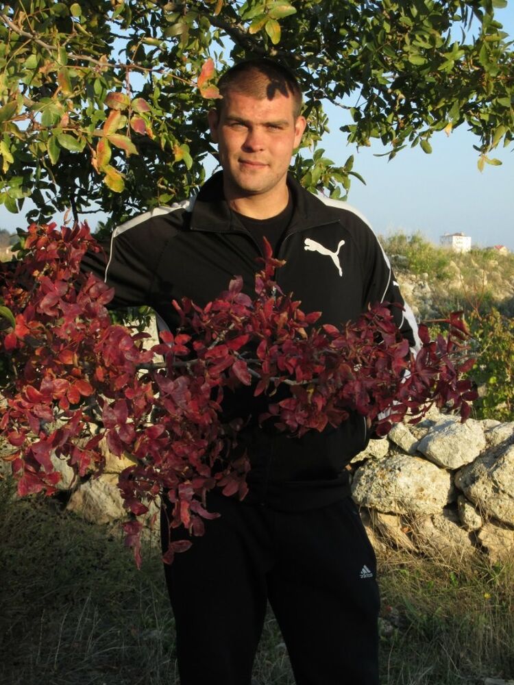 ���������� �����������, ���� ������� ��������, 40 ���, ������������ ��� ������