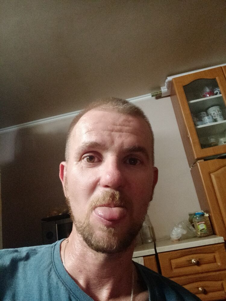  28013488  , 44 ,    