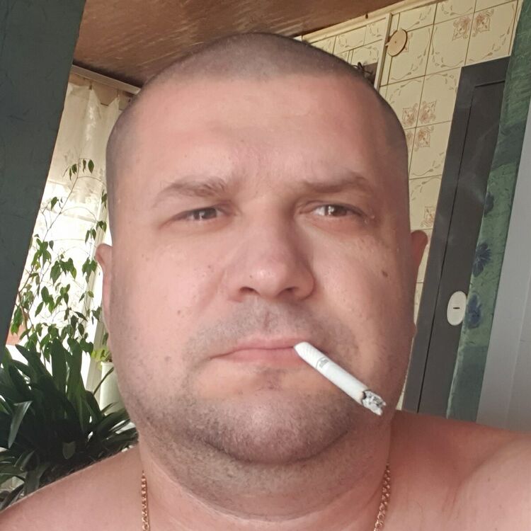  31482678  , 39 ,    