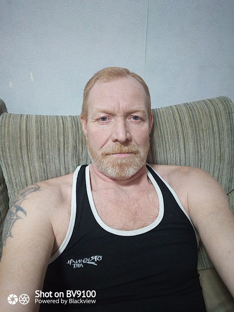  33540768  , 47 ,    