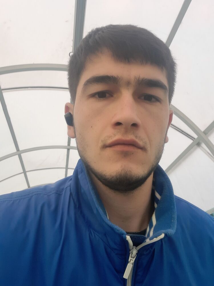  38394078  , 28 ,    