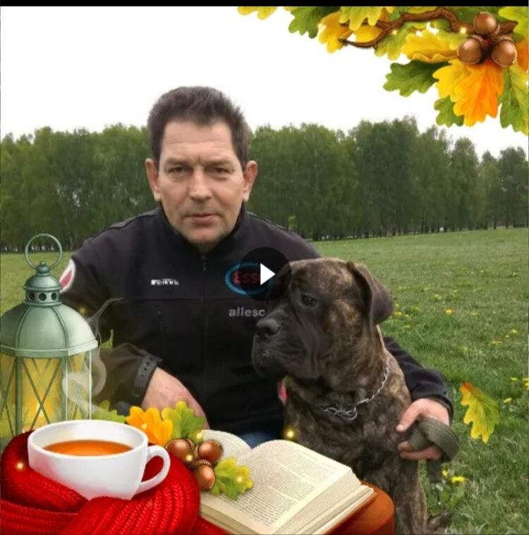 ,   , 61 ,     , c 