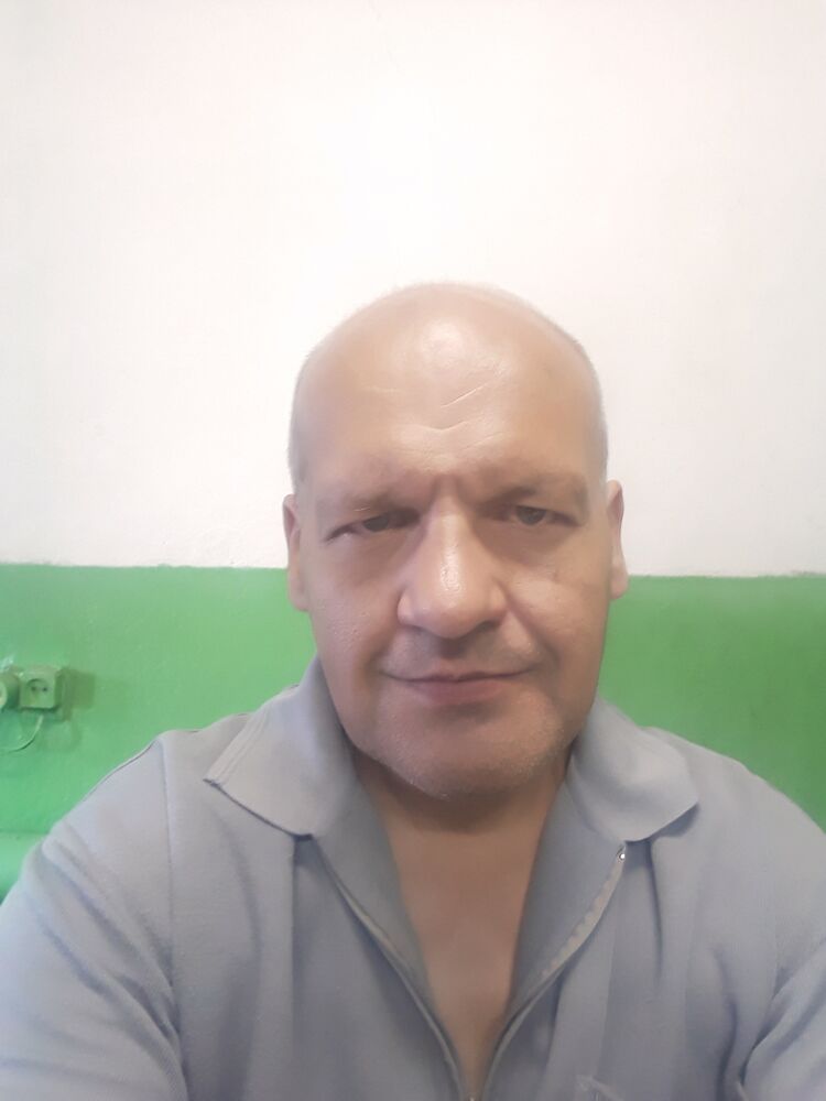  23494728  , 49 ,    