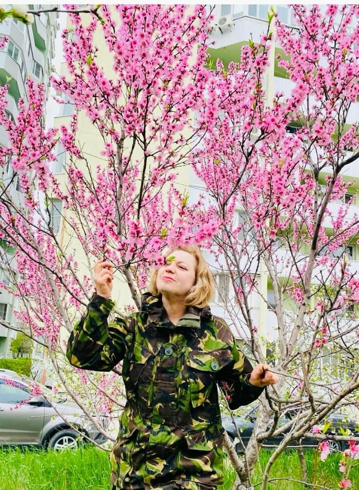 ���������� ������������, ���� ������� ����, 60 ���, ������������ ��� c�������� ���������