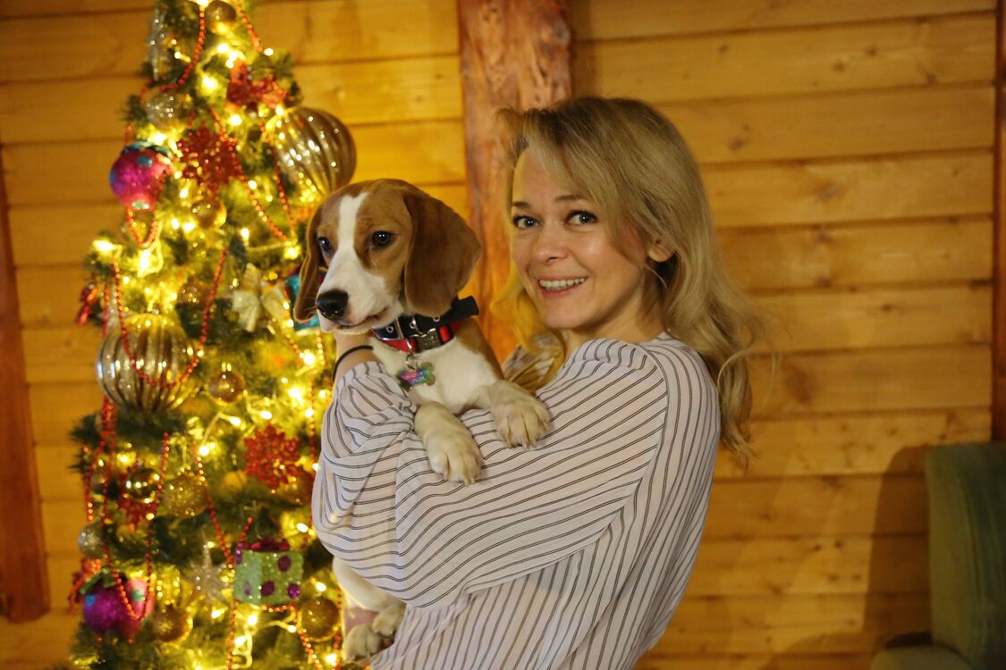 ���������� ��������, ���� ������� �����, 53 ����, ������������ ��� ������, ����� � ���������, c�������� ���������