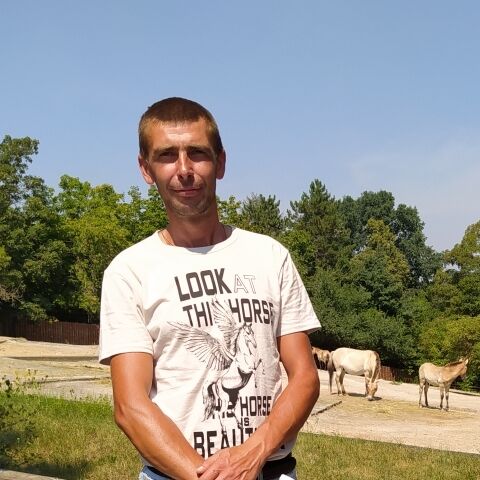  34233158  Alexandru, 42 ,    