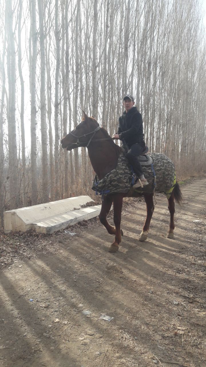 ���������� ������, ���� ������� ��������, 36 ���, ������������ ��� ������, ����� � ���������