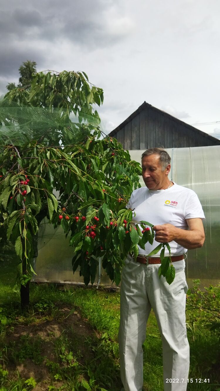 ���������� �����-���������, ���� ������� �������, 66 ���, ������������ ��� ������, ����� � ���������