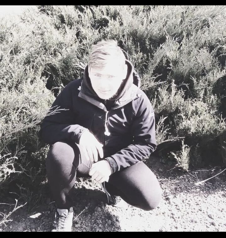  35076768  , 21 ,    
