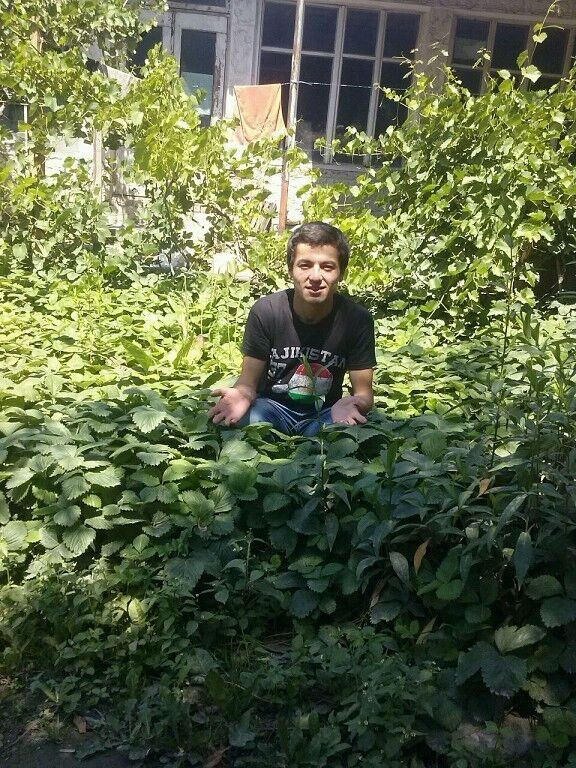 ���� 9074488 ������� Islam, 31 ���, ���� ���������� � ������