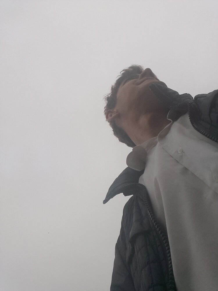  12165768  , 31 ,    