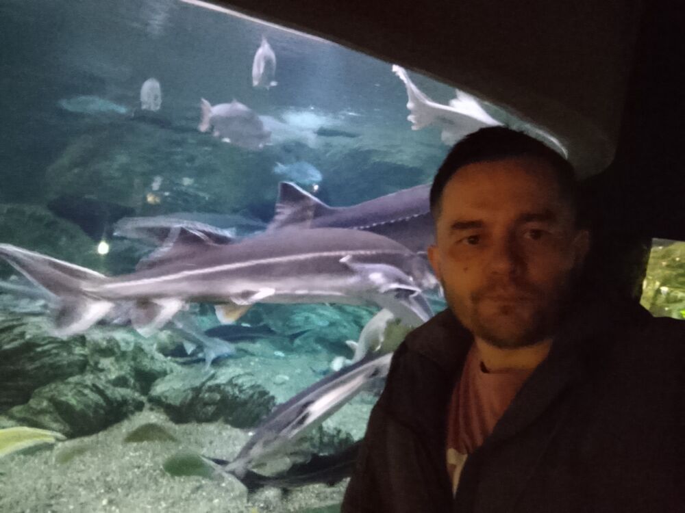 ���� 55980768 ������� ������, 41 ���, ���� ���������� � ����