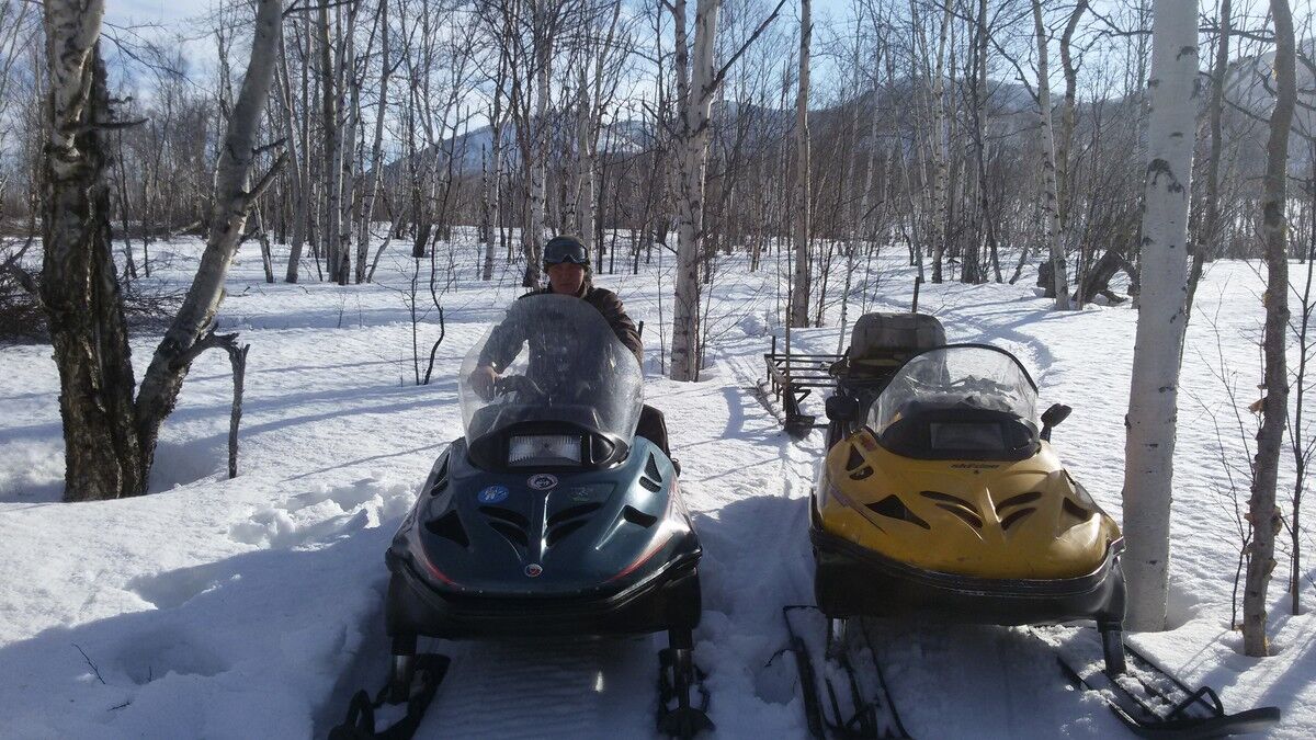 ���������� �������������-����������, ���� ������� ��������, 33 ����, ������������ ��� ������, ����� � ���������, c�������� ���������