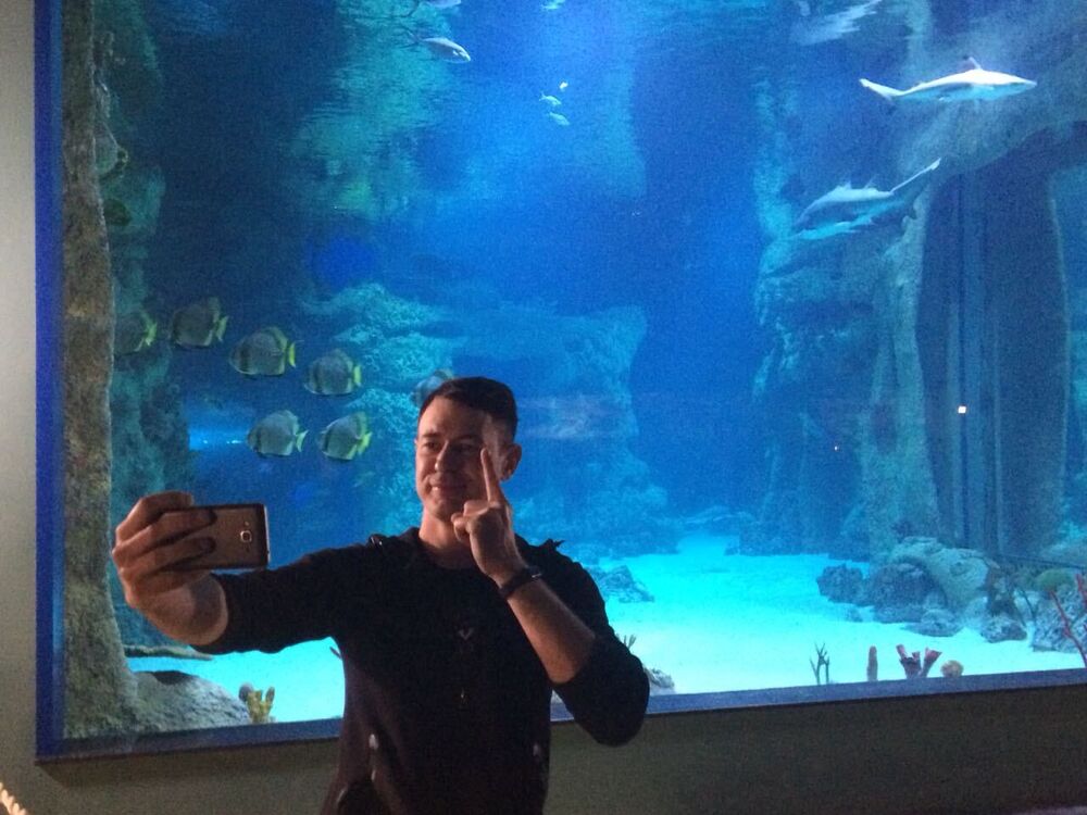 ���� 27988278 ������� �����, 34 ����, ���� ���������� � ������