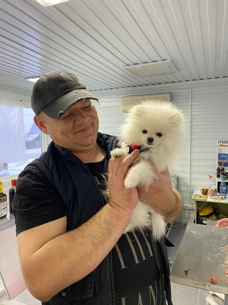 ���� 55568108 ������� ��������, 43 ����, ���� ���������� � ��������