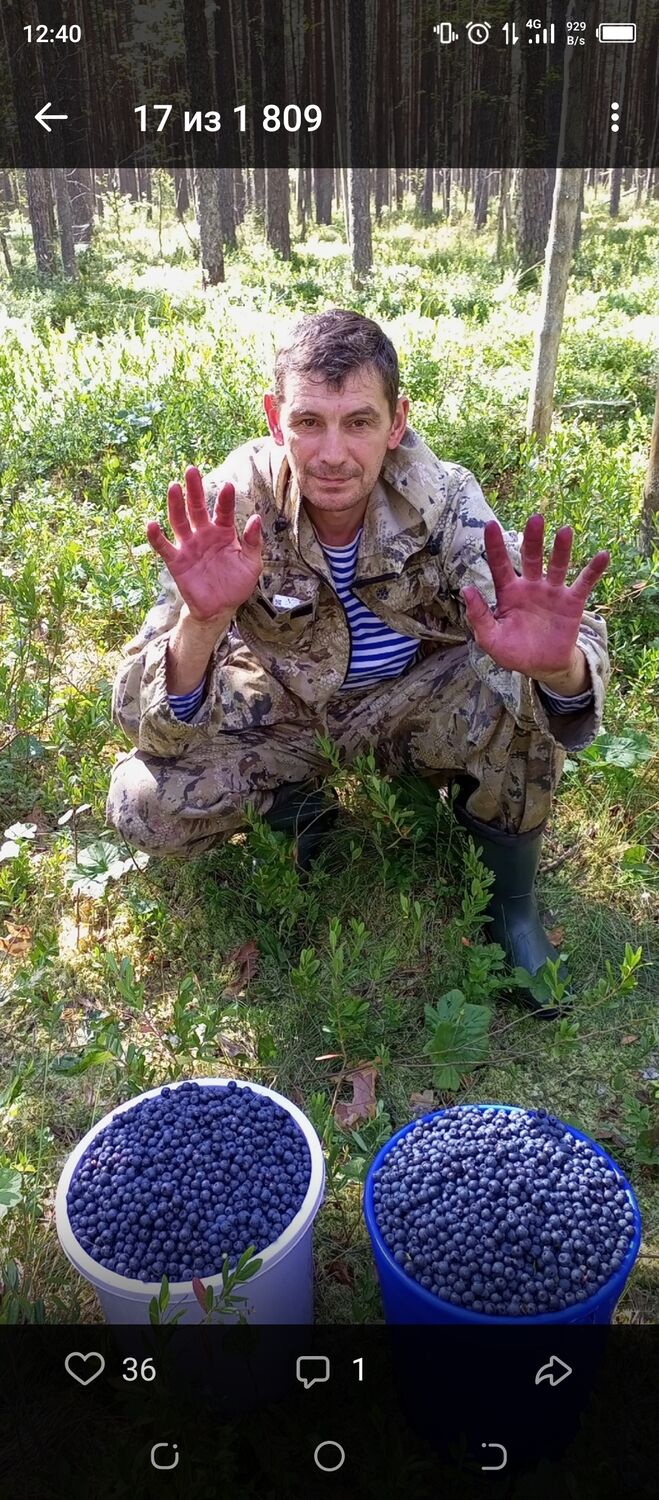 ���������� �����-���������, ���� ������� �������, 48 ���, ������������ ��� ������, c�������� ���������, ���������