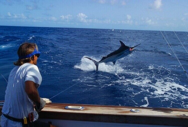 ���������� �����-���������, ���� ������� ������, 45 ���, ������������ ��� ������, ����� � ���������, c�������� ���������