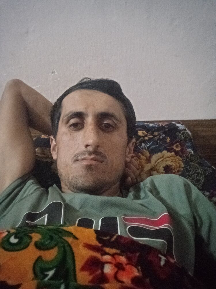  50776338  , 31 ,    
