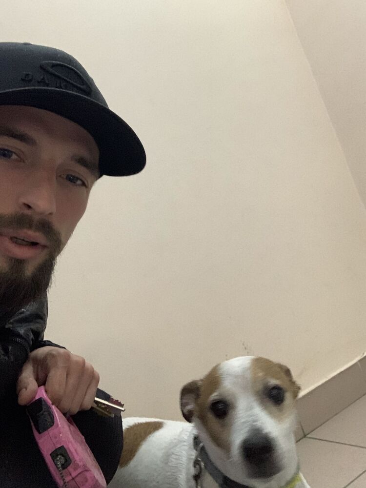 ���������� ����������, ���� ������� ������, 36 ���, ������������ ��� ������, ����� � ���������, c�������� ���������